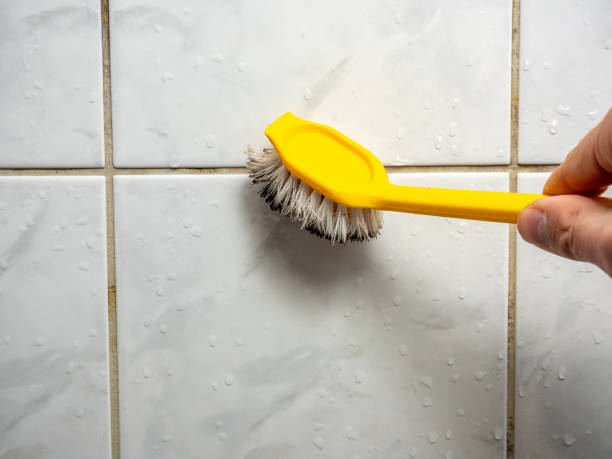 Best Same-Day Mold Removal  in Columbia City, OR