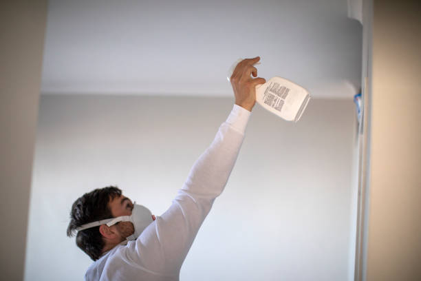 Best Same-Day Mold Removal  in Columbia City, OR