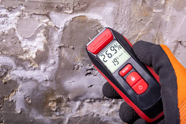 Best Mold Removal Company Near Me  in Columbia City, OR