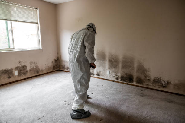 Best Office Mold Removal Services  in Columbia City, OR